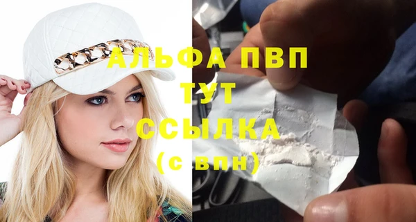 соль ск Ельня