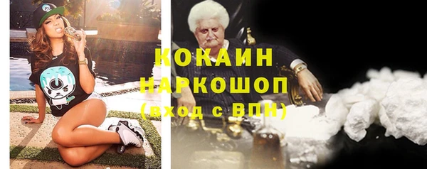 соль ск Ельня
