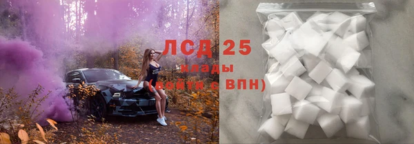 соль ск Ельня