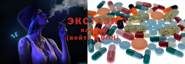 соль ск Ельня
