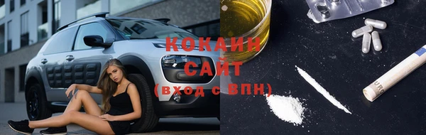 мет Елизово