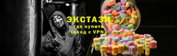 соль ск Ельня