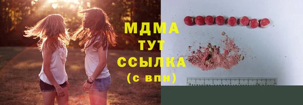 соль ск Ельня