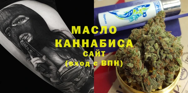 соль ск Ельня