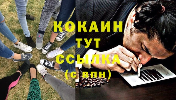 соль ск Ельня