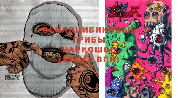 мет Елизово
