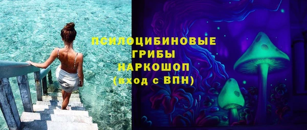 соль ск Ельня