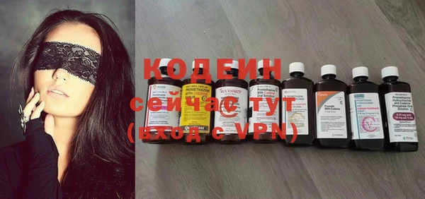 соль ск Ельня