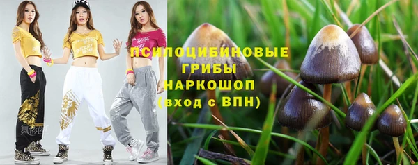 соль ск Ельня