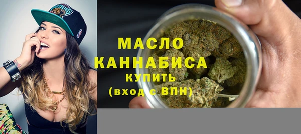 соль ск Ельня