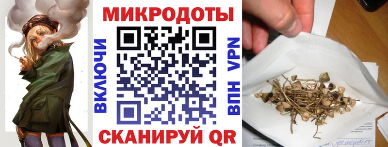 Галлюциногенные грибы Psilocybine cubensis Ермолино